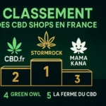 Cuisine & Cannabinoïdes : Guide 2025 du CBD Gastronomique et Classement des Boutiques « Chef-Friendly » boutique-cbd-chef-friendly