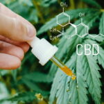 Comment choisir les produits à base de CBD de qualité ? Comment-choisir-les-produits-à-base-de-CBD-de-qualité